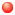 Bullet